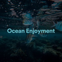 Ocean Enjoyment - Sea Waves Sounds, Ocean Waves & Ocean Sounds FX