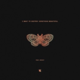 I Want To Destroy Something Beautiful Jackal & Roniit