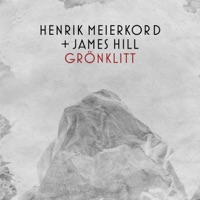 Grönklitt (feat. James 'Junior' Hill) - Single - Henrik Meierkord