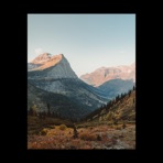 Montana - Single
