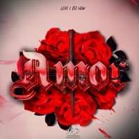 Amor - Single - DJ-How & Lexx