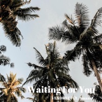Waiting for You (feat. Amaas) - Single - Vendredi