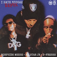 I Hate Niggaz (feat. Allstar JR & T-Freshh) - Single - Norfside Meese