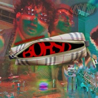 borso (feat. s1naka) - Single - Marcocaina