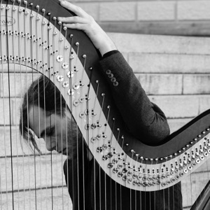 The Harp as an Orchestra