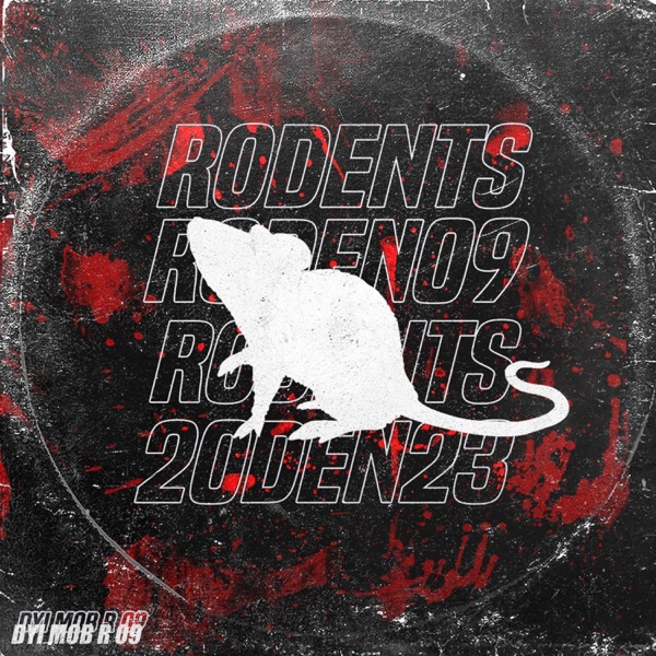 R 09 - Single