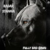 Fully Bad Dawg - Single