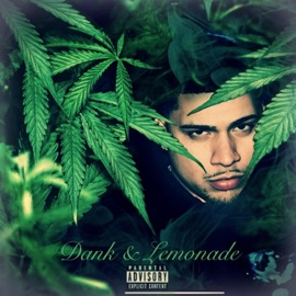 No Stopping (feat. Marley Mont) Dankio