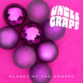 Uncle Grape - Muggy