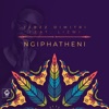 Ngiphatheni (feat. Lizwi) - Single