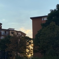 My Mind - Single - Diamond