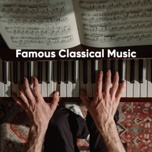 The Goldberg Variations, BWV 988: Variation 1 - Piano and Strings Version