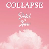 Didn't Know - Single - Collapse
