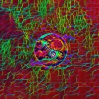 The Banjo Beat, Pt. 10 - Single - Ricky Desktop