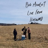 BUG MOMENT - Worm Live From Hayward (Live)