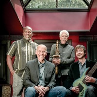 Yellowjackets