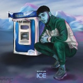 Ice artwork