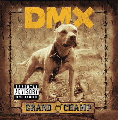 DMX's Wild Ride