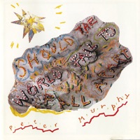 Should the World Fail to Fall Apart (Expanded Edition) [Remastered] - Peter Murphy