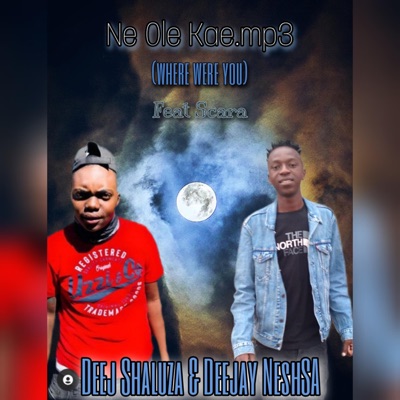 Ne Ole Kae (feat. Deej Shaluza & Skara) - Single