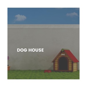 Dog House