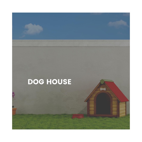 Dog House