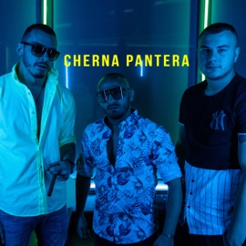 Cherna Pantera (feat. DJ Kitaeca) Torino, Pashata & Pepi