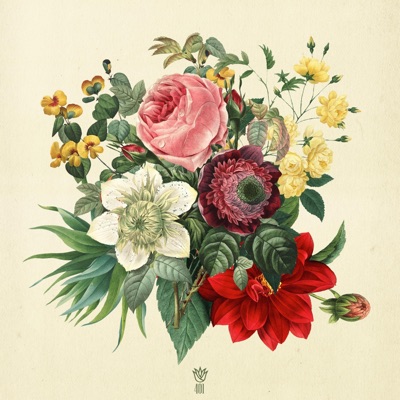 Flora