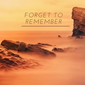 Forget to Remember artwork