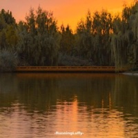 Till the End! (feat. Capzlock) - Single - Plxg1ns