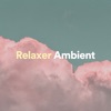 Relaxer Ambient