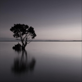 Into Eternity