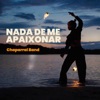 Nada de Me Apaixonar - Single