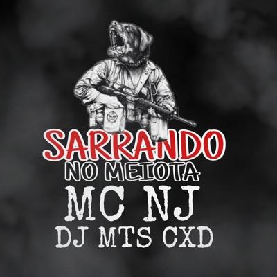 Sarrando no Meiota - Single
