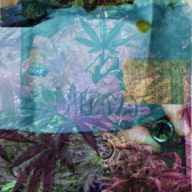 Vert Pet à Perpète (feat. HAKU) MakotΩmega