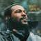 Inner City Blues (Make Me Wanna Holler) - Marvin Gaye lyrics