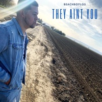 They Aint You - Single - Beachboylos