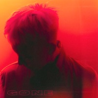 Gone (feat. Loco) - Single - Vapo