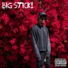 Big Sick - Single