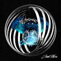 Owl - Single - Jack Flora