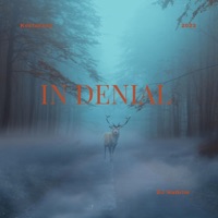 In Denial (feat. Kostakane) - Single - DJ NaGrim