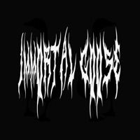 B0nk1n - immortal goose 1mm0rt4l g00s3 IMMORTAL GOOSE, Saint Taint & Miche'le