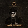 Timmy Trumpet