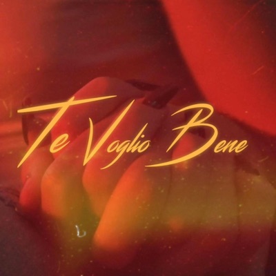 Te Voglio Bene (feat. Lil Blom) - Single