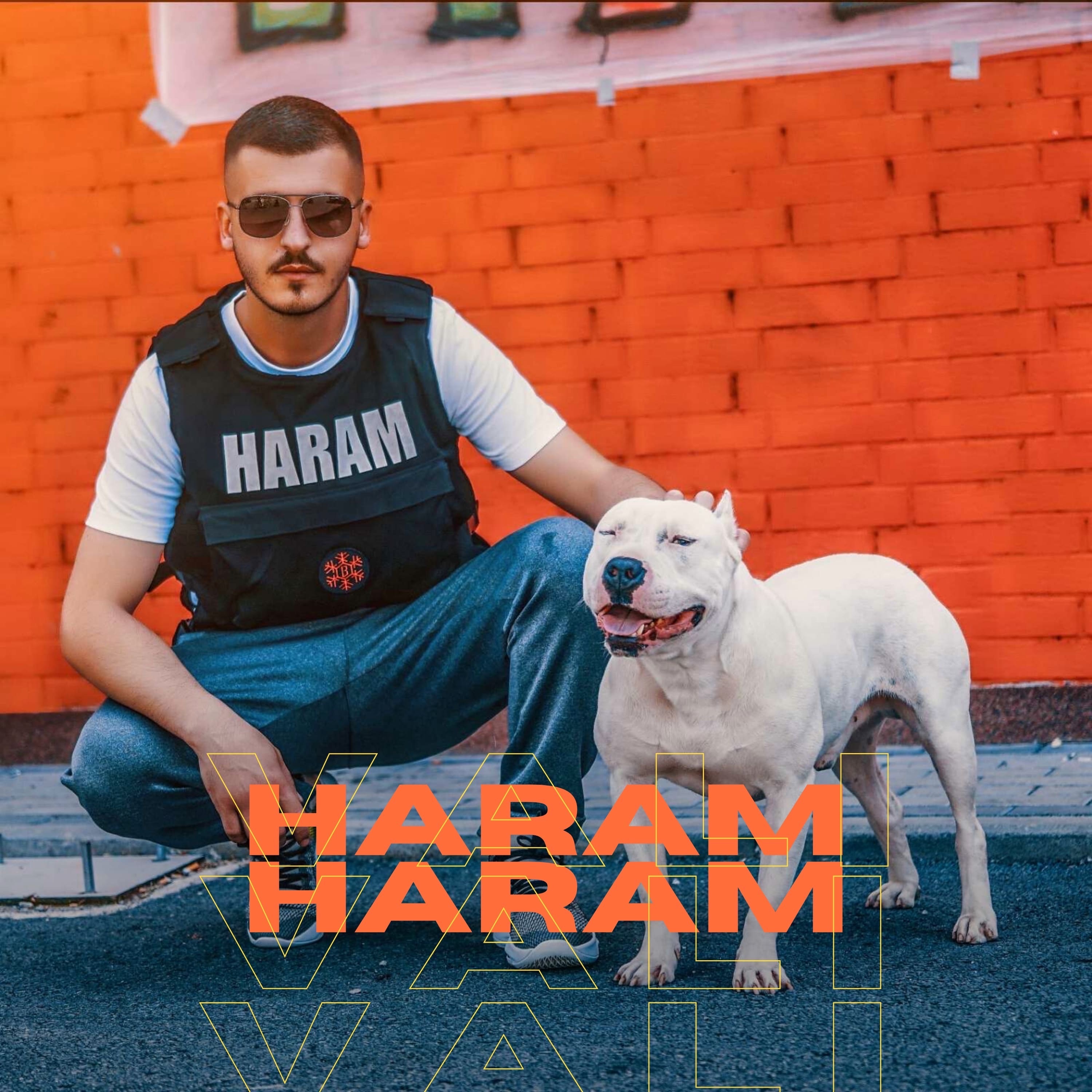 Haram Haram - Single