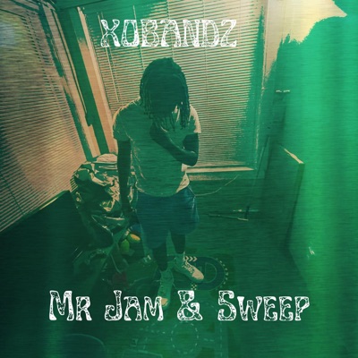 Mr Jam and Sweep - Single