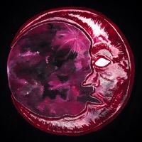 Shiraz - Single - Tejo