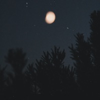 What Anxiety Feels Like - Single - The kid in blue