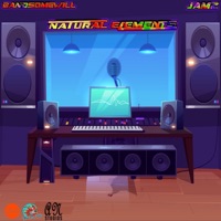 Natural Elements (feat. Jamz) - Bandsome Will