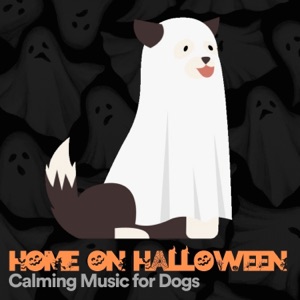 Home on Halloween Calming Music for Dogs